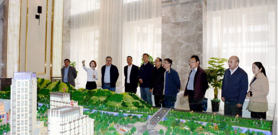 甘肅省政府督查公司天水總部經濟城 項目運行情況