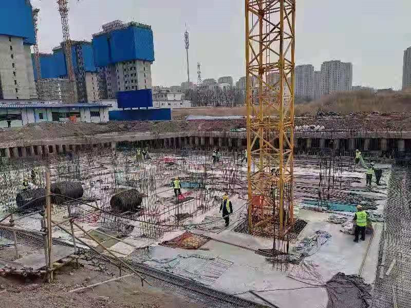 202103011614596579991495.jpg 3.jpg